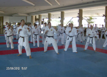 Seminário Técnico Internacional Wayne Otto OBE