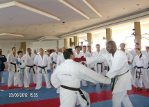 Seminário Técnico Internacional Wayne Otto OBE
