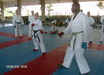 Seminário Técnico Internacional Wayne Otto OBE