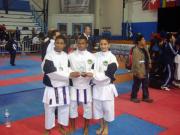 Campeonato Mundial WUKO